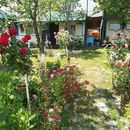 Camping Casuta Mihaela Crisan  Exteriör bild