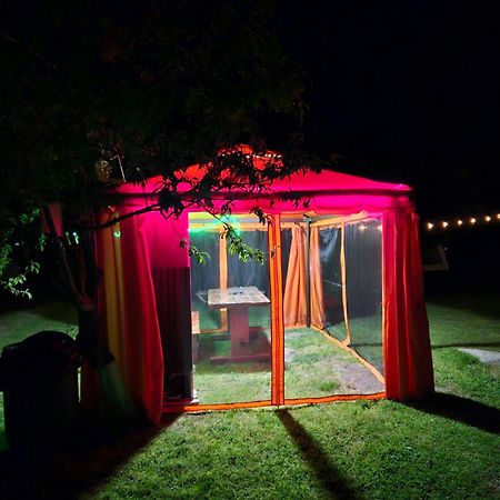 Camping Casuta Mihaela Crisan  Exteriör bild