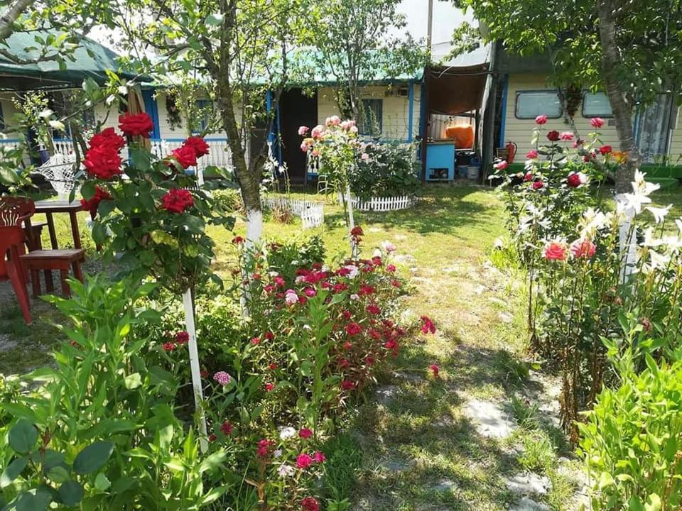 Camping Casuta Mihaela Crisan  Exteriör bild