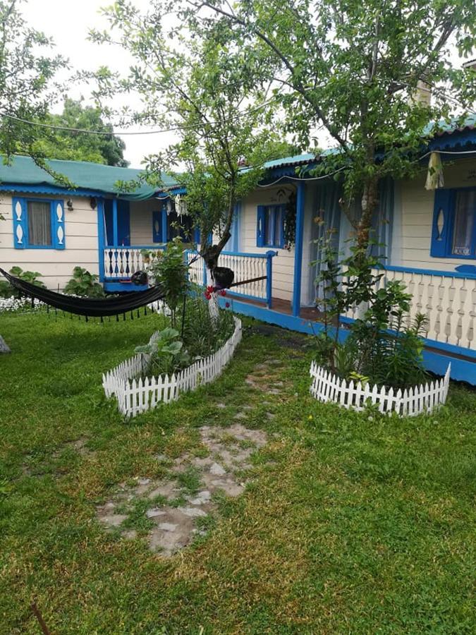 Camping Casuta Mihaela Crisan  Exteriör bild