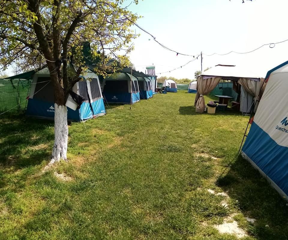 Camping Casuta Mihaela Crisan  Exteriör bild