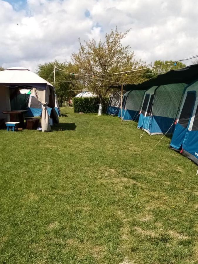 Camping Casuta Mihaela Crisan  Exteriör bild
