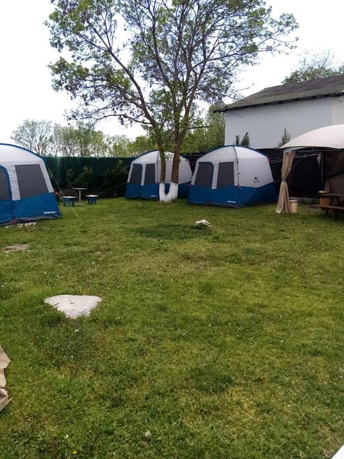 Camping Casuta Mihaela Crisan  Exteriör bild