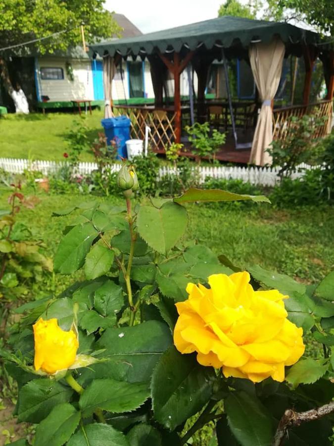 Camping Casuta Mihaela Crisan  Exteriör bild