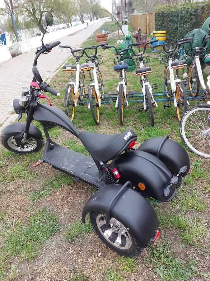 Camping Casuta Mihaela Crisan  Exteriör bild