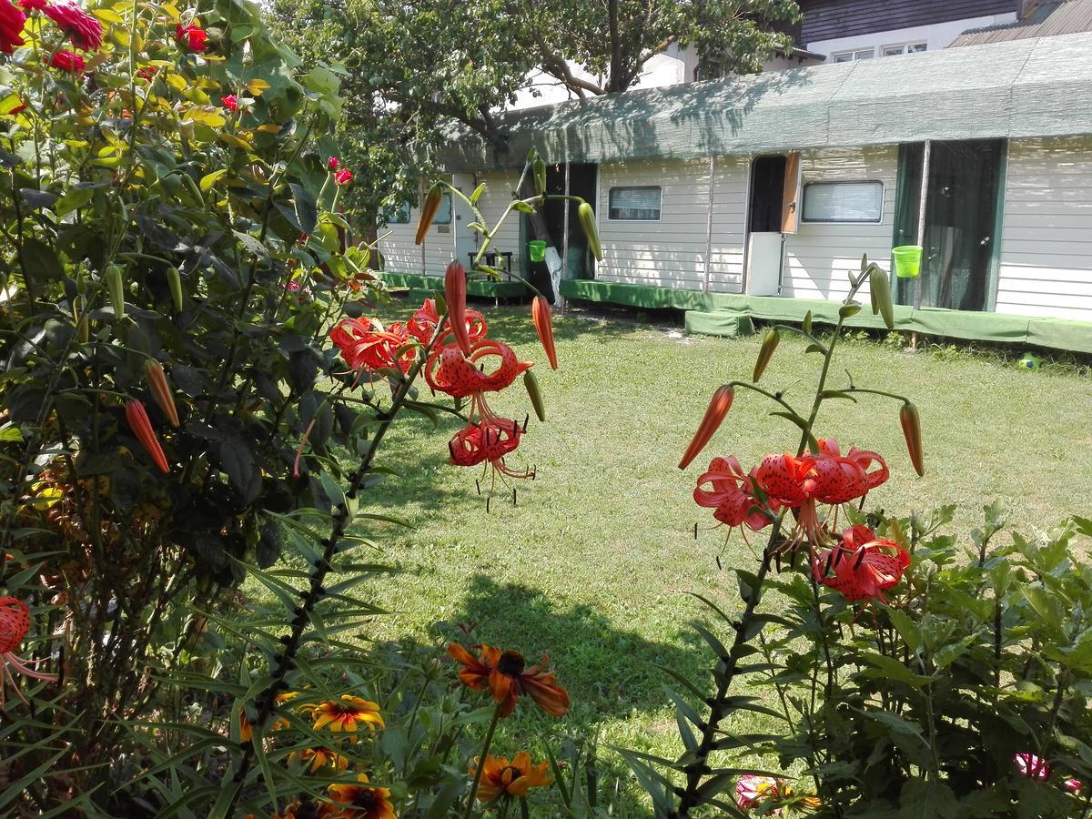 Camping Casuta Mihaela Crisan  Exteriör bild
