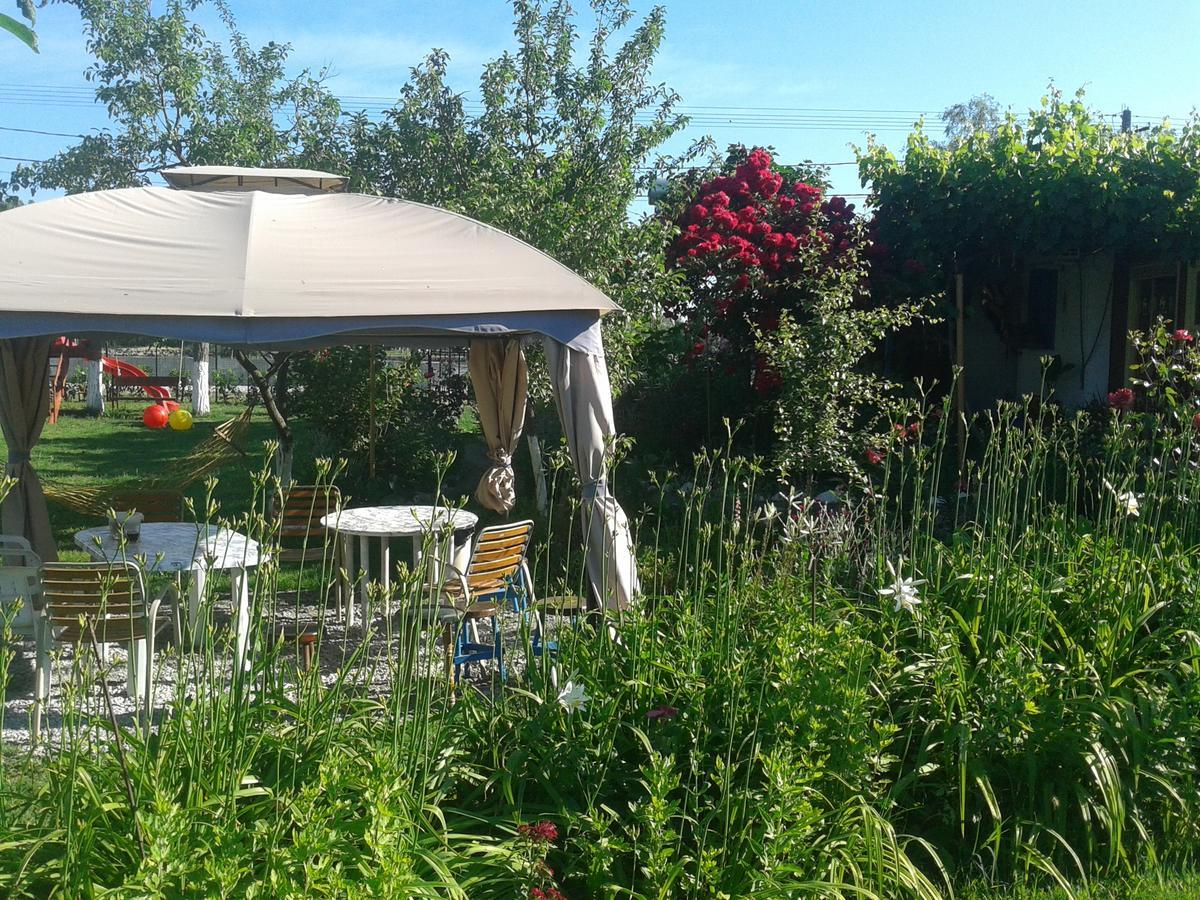 Camping Casuta Mihaela Crisan  Exteriör bild