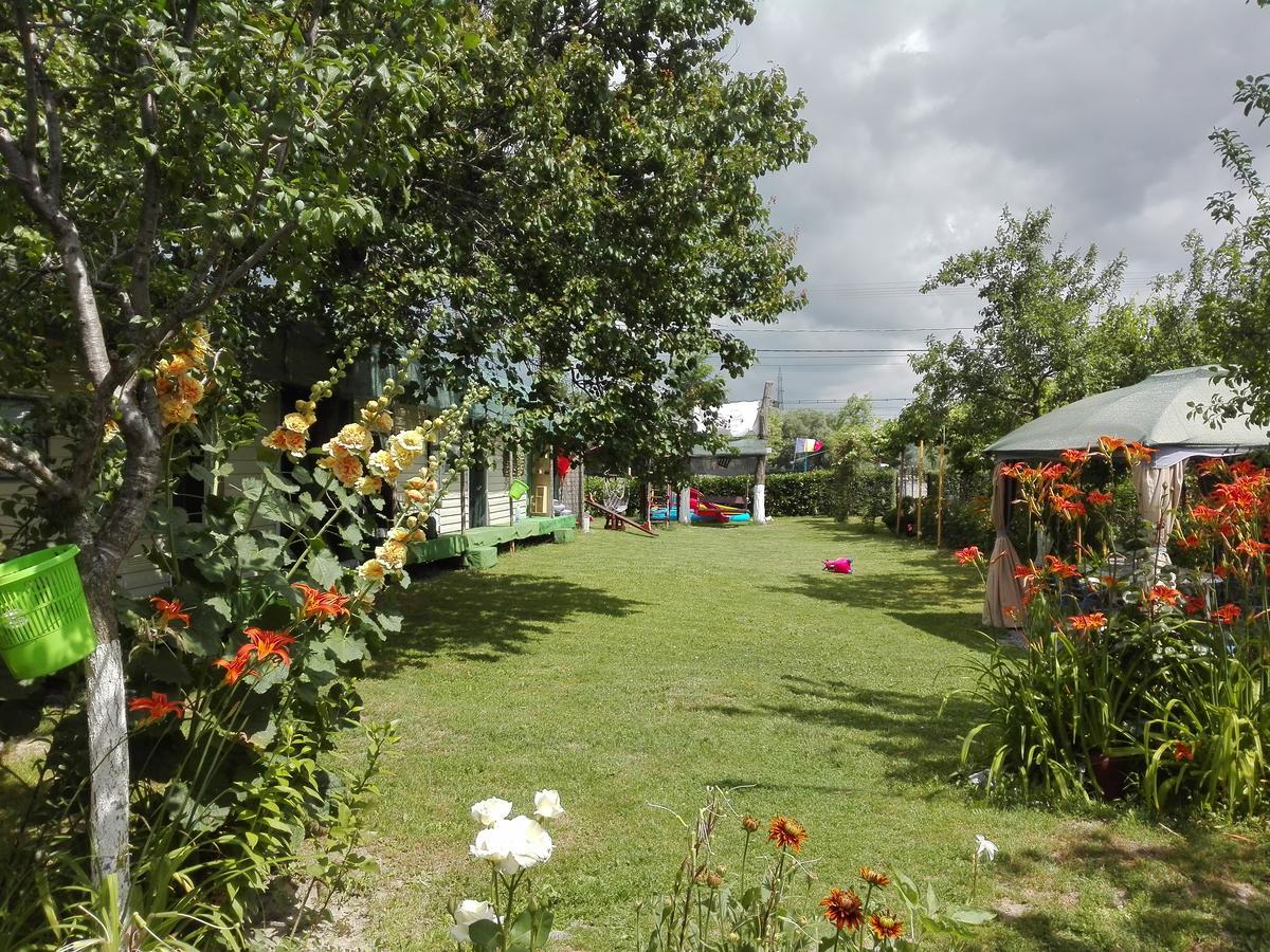 Camping Casuta Mihaela Crisan  Exteriör bild