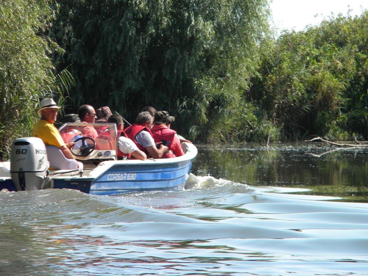 Camping Casuta Mihaela Crisan  Exteriör bild