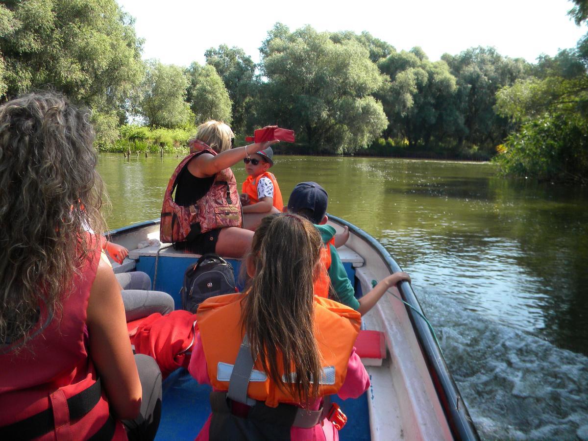 Camping Casuta Mihaela Crisan  Exteriör bild