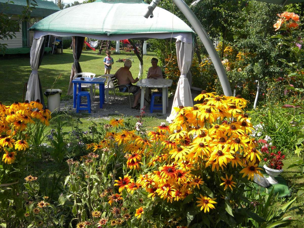 Camping Casuta Mihaela Crisan  Exteriör bild